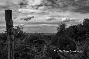 Overlook of Serenity, Rodeberg in Heuvelland