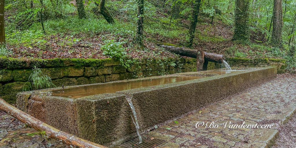 Serenity in the Forest, Tranquil Spring in Mullerthal