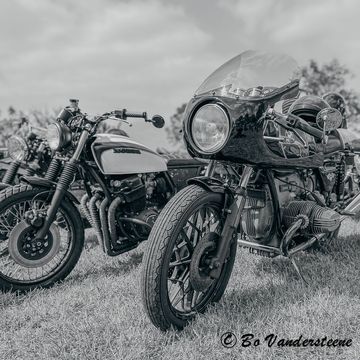 Riding Elegance, Vintage at Its Finest