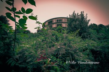 Overgrown Relic - Nature Reclaims an Abandoned Building