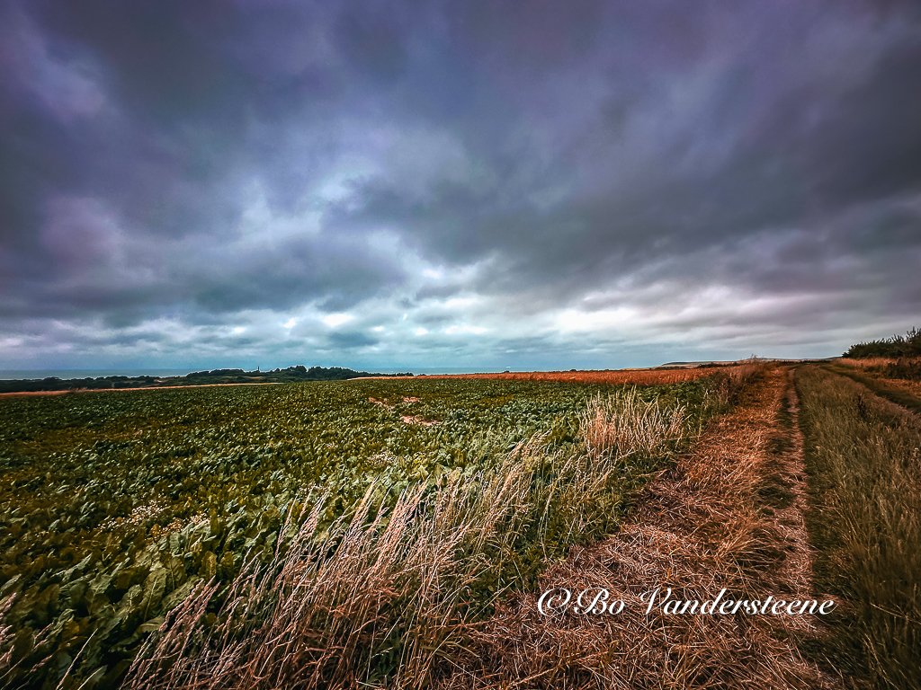 Gravelweg