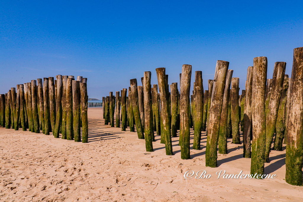 Wissant Strand