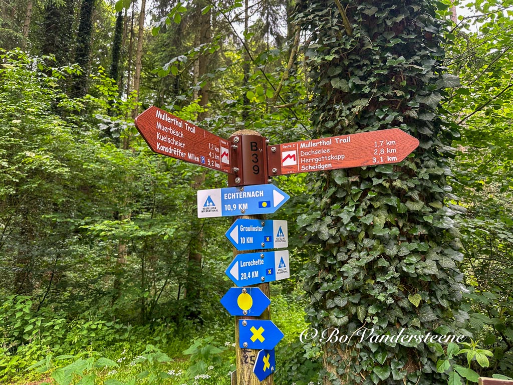 Start in Consdorf