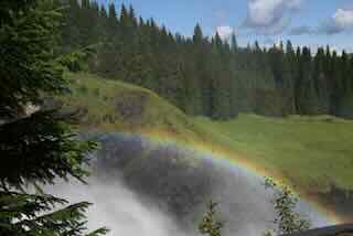Regenboog